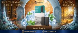 JUUL 2 Pods Arctic Breeze in Dubai UAE