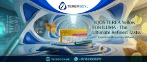  IQOS TEREA Yellow Italy in Dubai