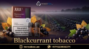 Blackcurrant Tobacco JUUL 2 Pods in Dubai 