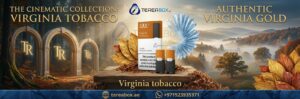 JUUL 2 Virginia Tobacco Pods in Dubai UAE