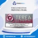 IQOS TEREA Provence Pearl Kyrgyzstan in Dubai UAE